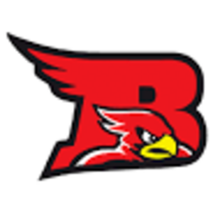 Bloomfield-Mespo Local School District logo