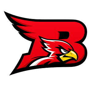 Bloomfield-Mespo Local School District logo