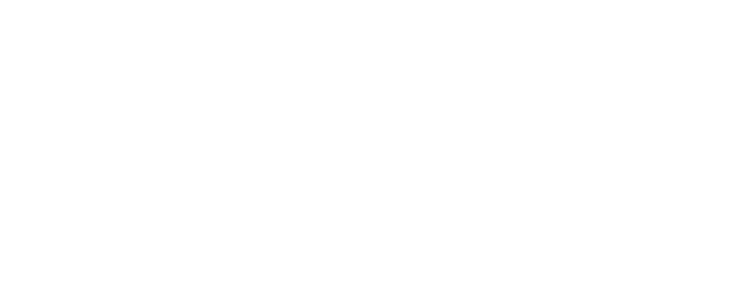 Foot Solutions logo